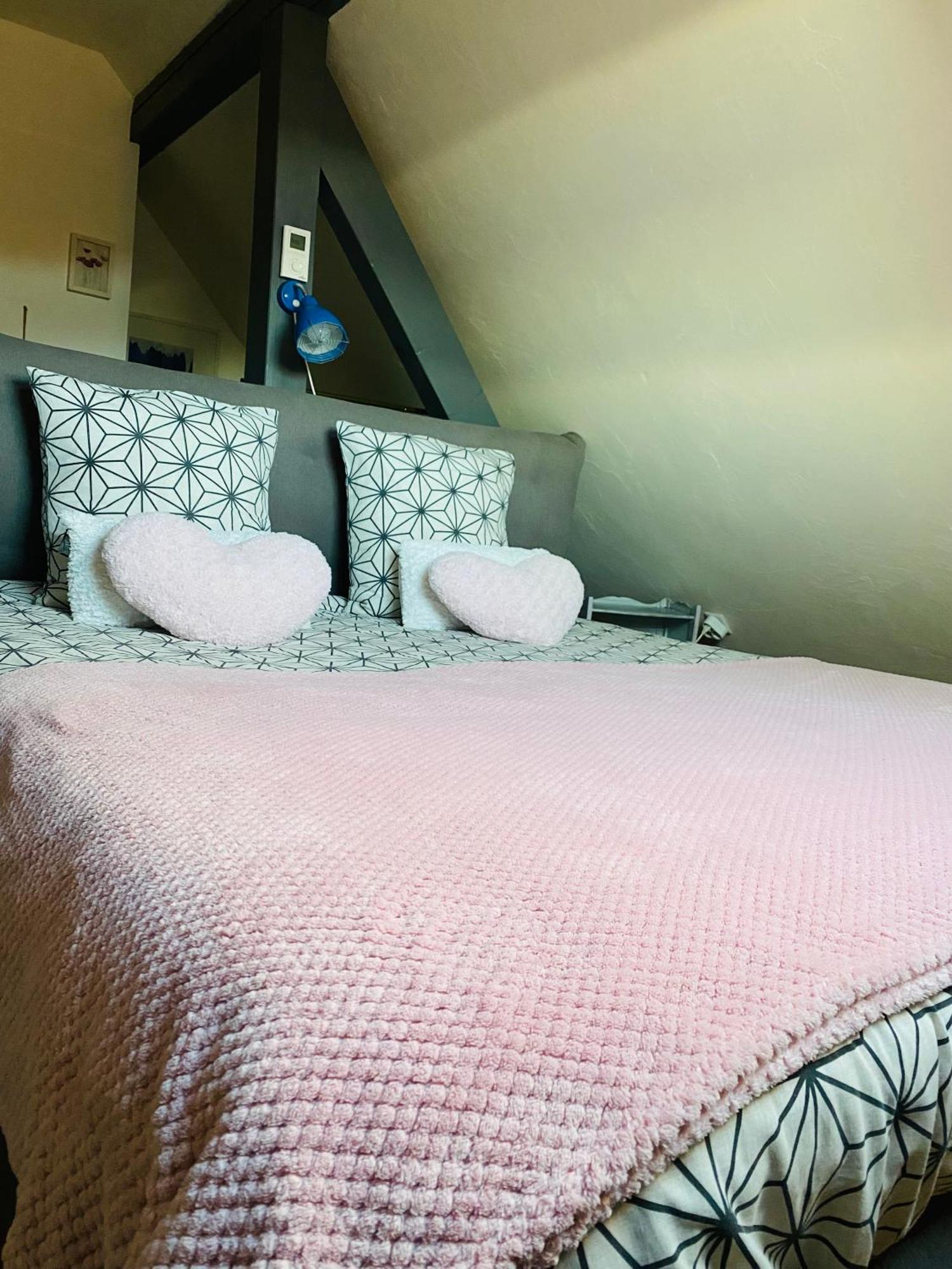 Les Appartements D'Estelle لا بيتيت-بيير المظهر الخارجي الصورة
