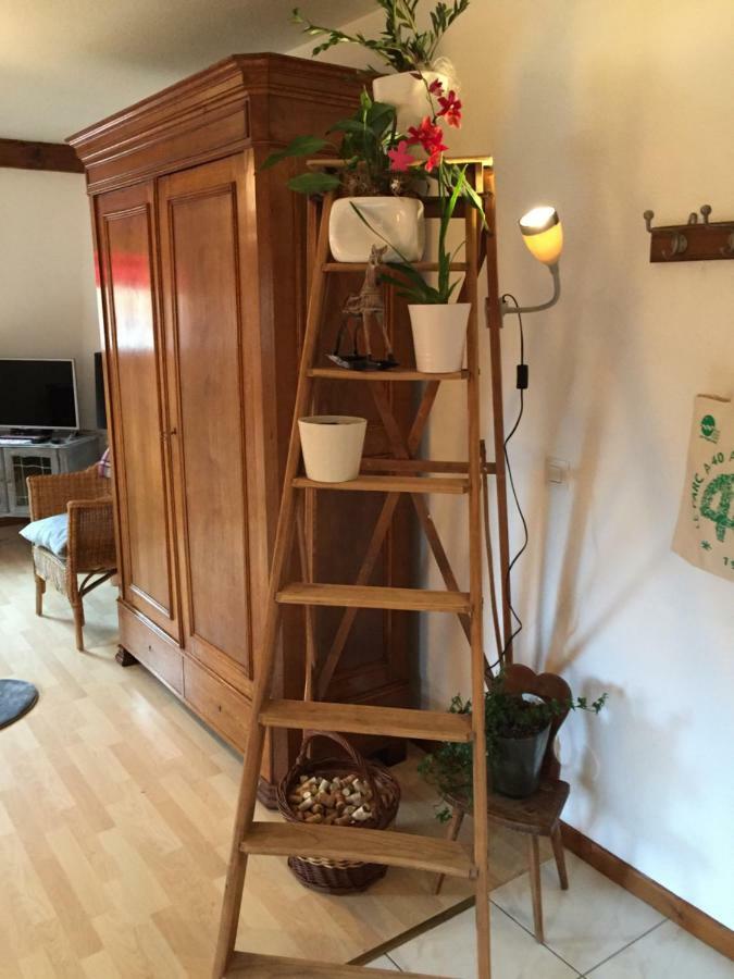 Les Appartements D'Estelle لا بيتيت-بيير المظهر الخارجي الصورة
