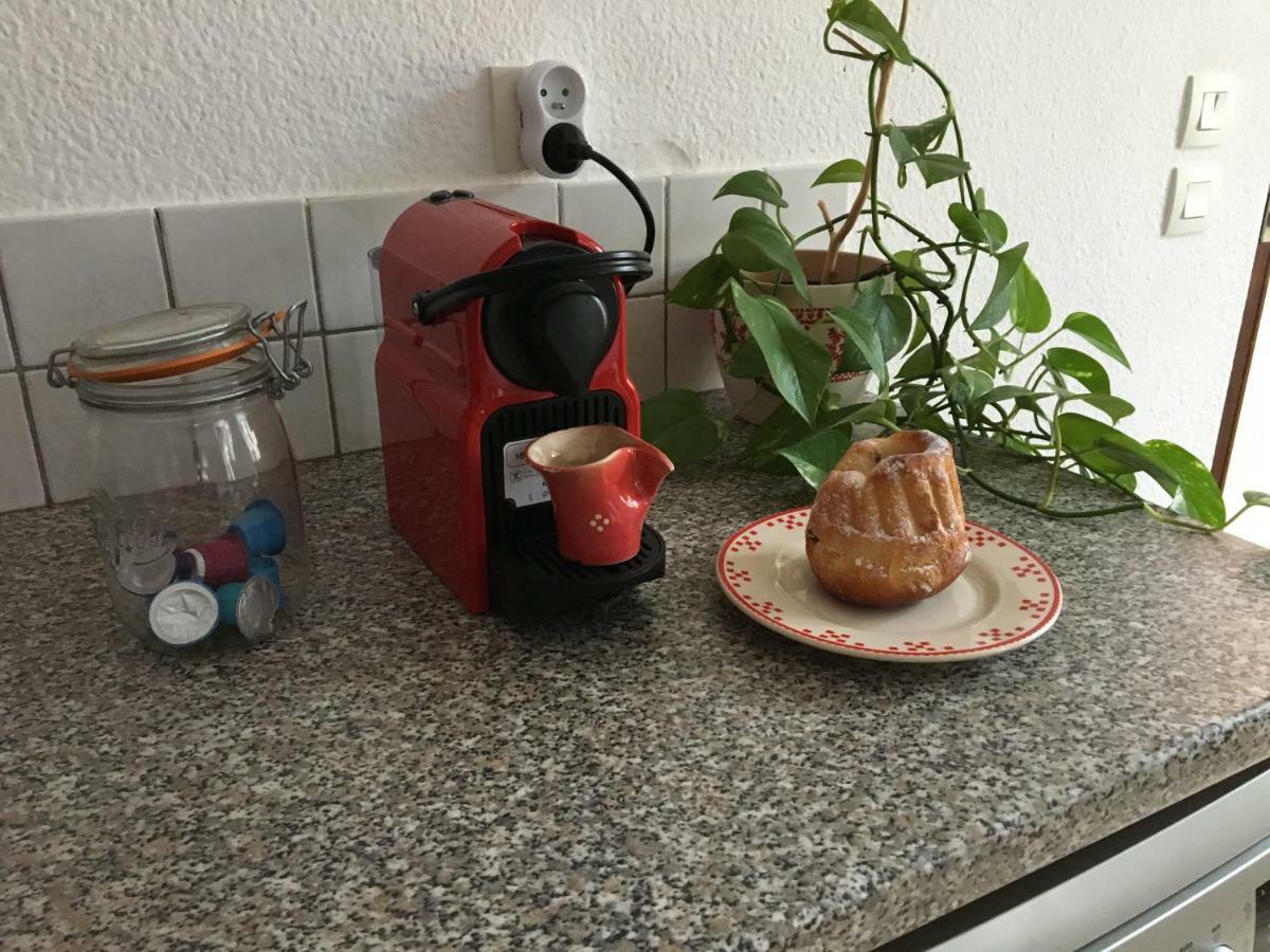 Les Appartements D'Estelle لا بيتيت-بيير المظهر الخارجي الصورة